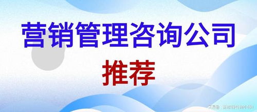 2025年中國營銷管理咨詢公司推薦 賦能企業(yè)戰(zhàn)略增長(zhǎng)